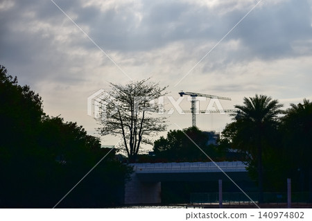 Crane with tree against cloudy sky background. Rural area. Construction cranes silhouetted against sky background. Public park. Crane with tree against cloudy sky background. Rural area. Construction cranes silhouetted against sky background. Public park. 140974802