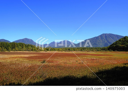 Odashirohara Plain with Mount Nantai in the background, showcasing the vibrant autumn colors of the grasses. October Nikko 291: Autumn Grasses - Odashirohara Plain and Mount Nantai Odashirohara Plain with Mount Nantai in the background, showcasing the vibrant autumn colors of the grasses. October Nikko 291: Autumn Grasses - Odashirohara Plain and Mount Nantai 140975003