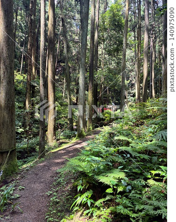 Walking trail to Gojo Falls Walking trail to Gojo Falls 140975090