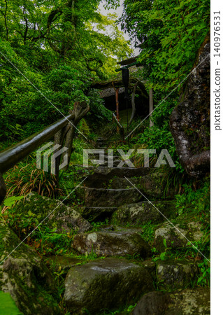 Stairs in a rain-soaked forest Stairs in a rain-soaked forest 140976531