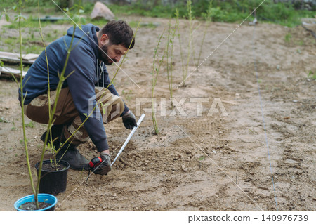 A man measures the spacing while planting dogwood saplings on his countryside property A man measures the spacing while planting dogwood saplings on his countryside property 140976739