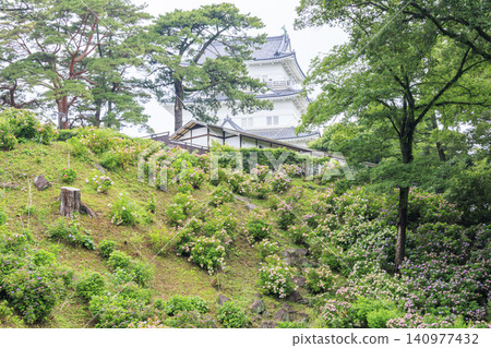 雨季的小田原城遺址公園 雨季的小田原城遺址公園 140977432
