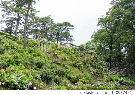 Odawara Castle Ruins Park during the rainy season Odawara Castle Ruins Park during the rainy season 140977434