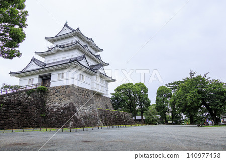 Odawara Castle Ruins Park during the rainy season Odawara Castle Ruins Park during the rainy season 140977458