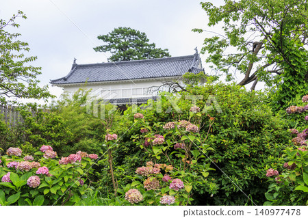 雨季的小田原城遺址公園 雨季的小田原城遺址公園 140977478