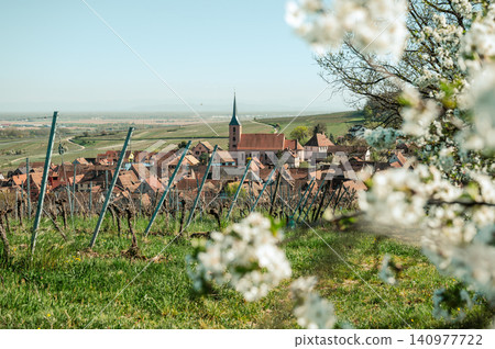 Wide Vineyard Panorama Village Church on Horizon Open Sky Wide Vineyard Panorama Village Church on Horizon Open Sky 140977722