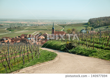 Countryside Road Through Vineyards Dawn Mist Peaceful Countryside Road Through Vineyards Dawn Mist Peaceful 140977894