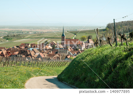 Winding Vineyard Path Toward Church Steeple Afternoon Winding Vineyard Path Toward Church Steeple Afternoon 140977895