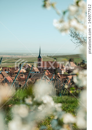 Alsace Vineyard Panorama Church Steeple Blossom Rooftops Alsace Vineyard Panorama Church Steeple Blossom Rooftops 140977912