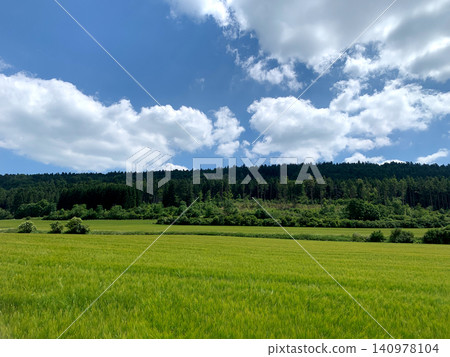 Lush green field stretches under a bright blue sky filled with fluffy clouds, surrounded by dense forest in the peaceful countryside Lush green field stretches under a bright blue sky filled with fluffy clouds, surrounded by dense forest in the peaceful countryside 140978104