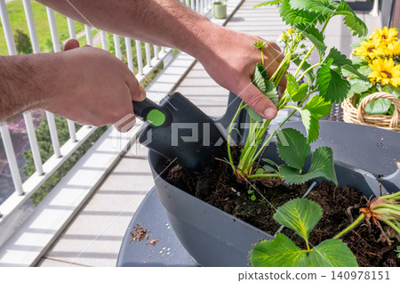 Leveling soil in container with small spade 140978151