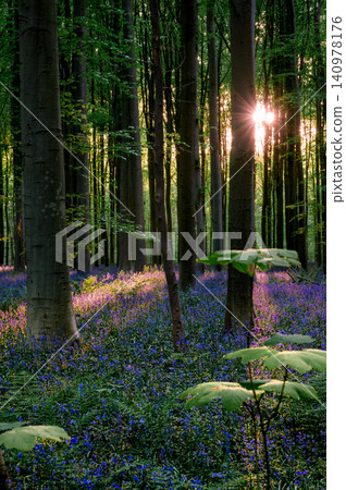 Ideal frame for landscape photographer seeking sunstar composition Ideal frame for landscape photographer seeking sunstar composition 140978176