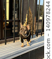 A French Bulldog dressed in a stylish black sweater and gold chain strolls on a wooden deck, surrounded by modern architecture 140978244