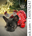 French bulldog close-up. A charming puppy in a red New Year's suit against the background of a Christmas tree. Concept - stylish clothes for animals. 140978247