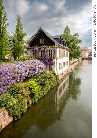 Wisteria Covered Cottage on Reflective Canal Strasbourg Wisteria Covered Cottage on Reflective Canal Strasbourg 140978476