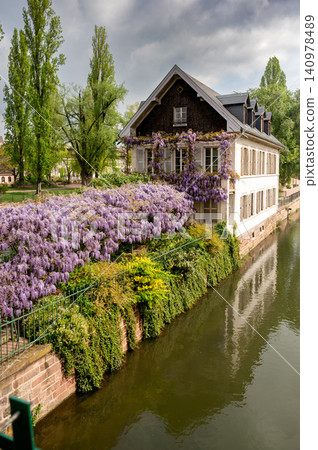 Moody Wisteria Draped House Beside Canal Lavender Vines Moody Wisteria Draped House Beside Canal Lavender Vines 140978489
