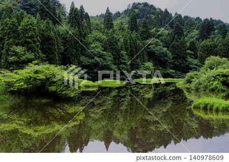 Hiraike 140978609