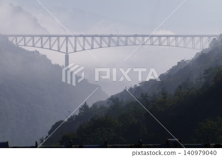 A large bird (an endangered marsh harrier) crosses the path beside the strangely shaped rocks of Enakyo Gorge in Nakatsugawa City, Gifu Prefecture. 140979040