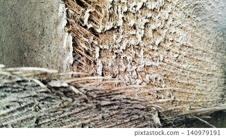 Natural Coconut Coir Fiber Texture Background Close Up Natural Coconut Coir Fiber Texture Background Close Up 140979191