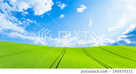 The magnificent scenery of wheat fields in Biei, Hokkaido, in summer, with its refreshing blue sky and gentle breeze. The magnificent scenery of wheat fields in Biei, Hokkaido, in summer, with its refreshing blue sky and gentle breeze. 140979331