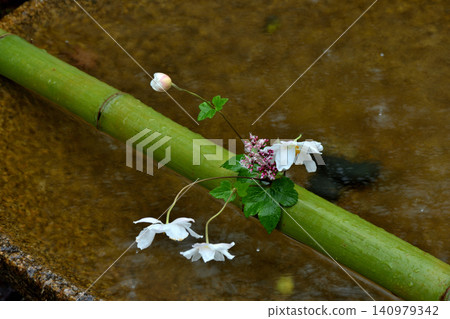 圓光寺水琴窟中的花朵 圓光寺水琴窟中的花朵 140979342