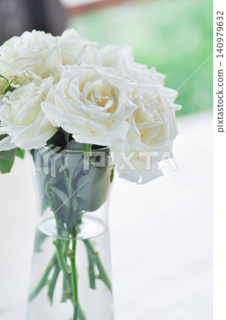 briosa rose , white rose or Garden roses , zaide rose or William Christie Rose or Mary Rose or Rosaceae or white rose in a vase or white flower 140979632