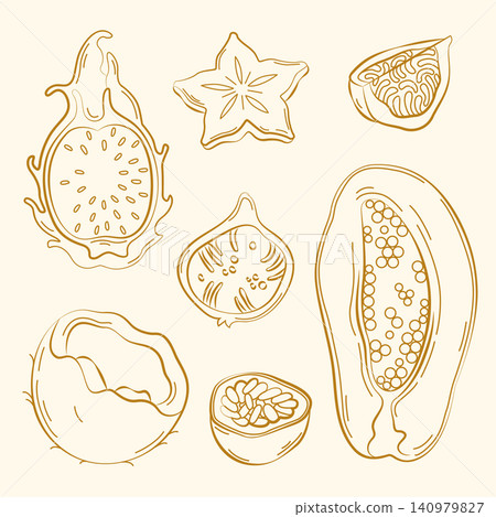 Hand-drawn tropical summer fruits, papaya, passion fruit, fig, carambola, dragon fruit in line art style for packaging, menu Hand-drawn tropical summer fruits, papaya, passion fruit, fig, carambola, dragon fruit in line art style for packaging, menu 140979827