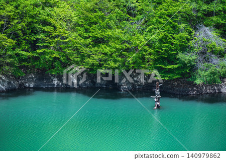 [Okusobana Valley] Susobana River, fresh greenery, and decaying wood [Kinasato, Nagano City] 140979862