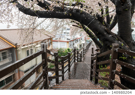 cherry beotkkot blossom by wood bridge at Gaegeum-dong road, Busan cherry beotkkot blossom by wood bridge at Gaegeum-dong road, Busan 140980204