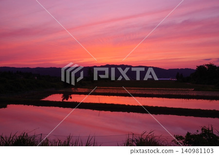 南魚沼市稻田倒映的夕陽 南魚沼市稻田倒映的夕陽 140981103