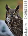 Great Horned Owl, Canada 140981145