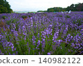 Lavender flower garden 140982122