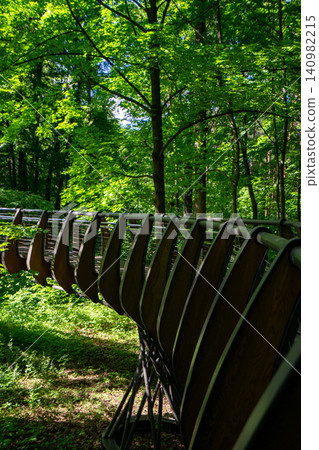 Wooden Eco Trail Boardwalk Green Oak Forest Photo Wooden Eco Trail Boardwalk Green Oak Forest Photo 140982215