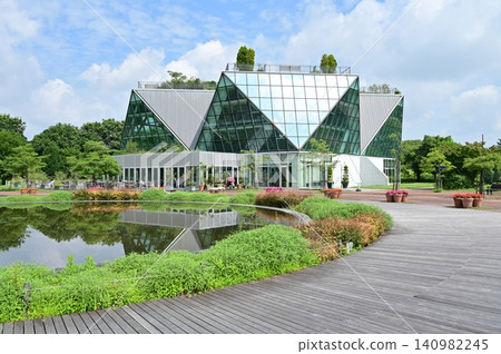 愛知縣甲南花卉公園的水晶花 愛知縣甲南花卉公園的水晶花 140982245
