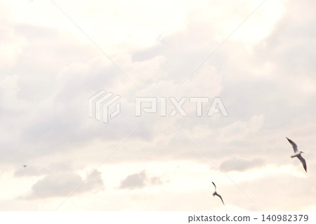 Seagulls flying over the Bosphorus Strait in Turkey Seagulls flying over the Bosphorus Strait in Turkey 140982379