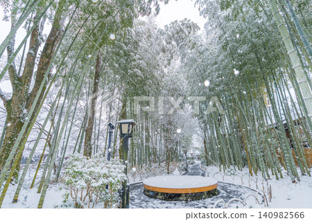 修善寺竹林步道雪景(靜岡縣伊豆市) 修善寺竹林步道雪景(靜岡縣伊豆市) 140982566