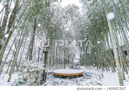 修善寺竹林步道雪景(靜岡縣伊豆市) 修善寺竹林步道雪景(靜岡縣伊豆市) 140982567