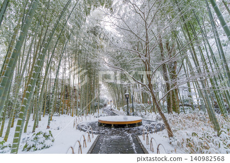 修善寺竹林步道雪景(靜岡縣伊豆市) 修善寺竹林步道雪景(靜岡縣伊豆市) 140982568
