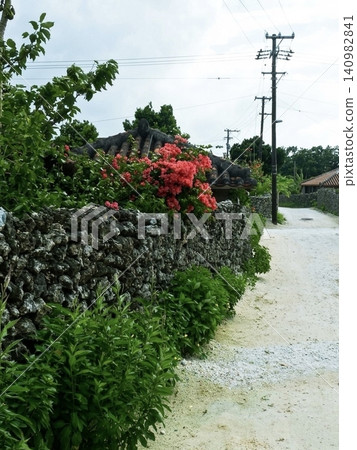 A scene of a village with red-tiled roofs and bougainvillea blooming vividly on the traditional stone walls of Taketomi Island. A scene of a village with red-tiled roofs and bougainvillea blooming vividly on the traditional stone walls of Taketomi Island. 140982841