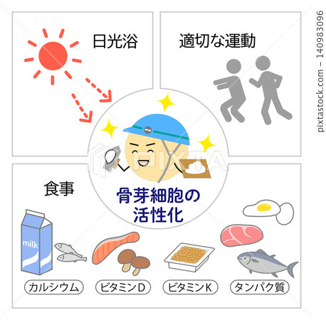 圖示:曬日光浴、運動和飲食如何活化成骨細胞。 圖示:曬日光浴、運動和飲食如何活化成骨細胞。 140983096
