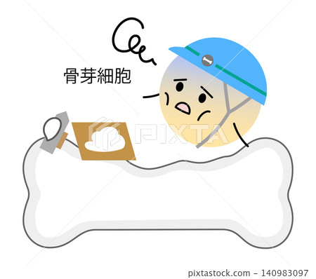 圖示為因老化而功能下降的成骨細胞。 圖示為因老化而功能下降的成骨細胞。 140983097