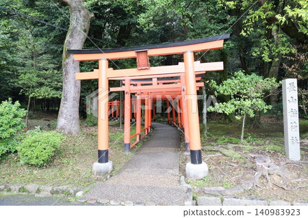 奈良縣橛原市橛原神社的庭院景色。 140983923