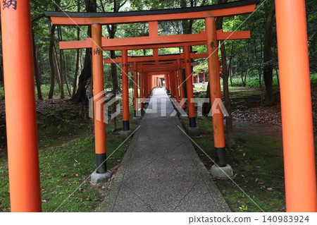 奈良縣橛原市橛原神社的庭院景色。 140983924