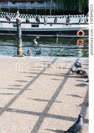 Pigeons resting on a bridge railing, their shadows cast by the public, on Eel Pie Island, a suburb of London. Pigeons resting on a bridge railing, their shadows cast by the public, on Eel Pie Island, a suburb of London. 140984025