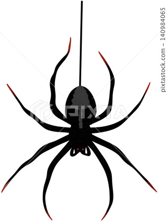 halloween black spider halloween black spider 140984065