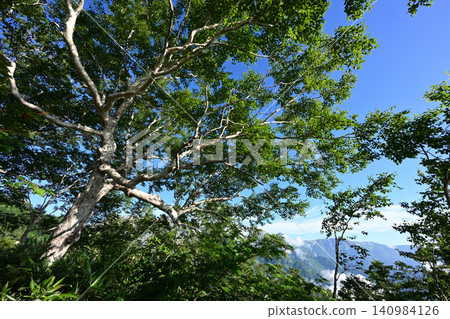 Mt. Karamatsu climb, Northern Alps, Nagano Prefecture Mt. Karamatsu climb, Northern Alps, Nagano Prefecture 140984126