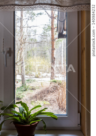 houseplant on window sill of rural house in spring houseplant on window sill of rural house in spring 140984232