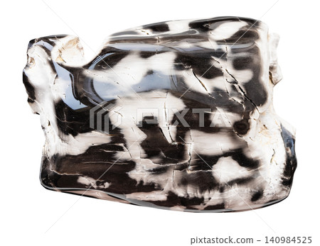 polished natural petrified wood isolated polished natural petrified wood isolated 140984525