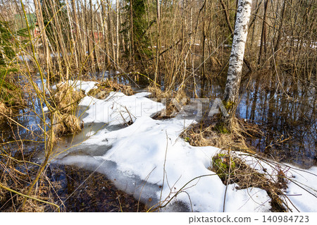 melting snowdrift in forest on sunny March day melting snowdrift in forest on sunny March day 140984723