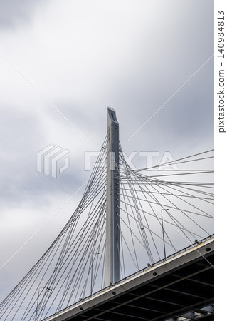 bottom view of bridge across Petrovsky Fairway bottom view of bridge across Petrovsky Fairway 140984813